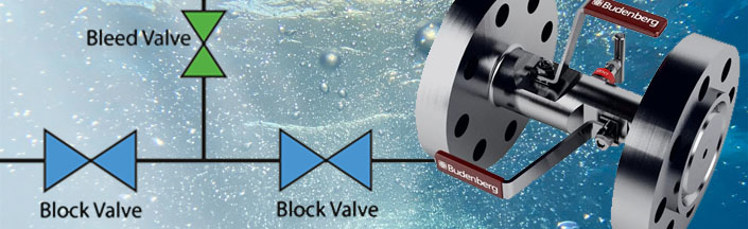 What is a Double Block and Bleed Valve?